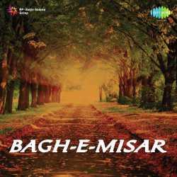 Kudrat Aaya Chamke - Bagh E Misar