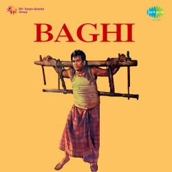 Dard Ki Ae Raat Guzar Ja - Baghi