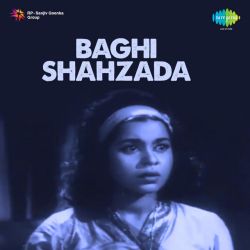 Ae Dil Bahek Na Jana - Baghi Shahzada