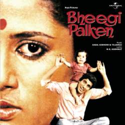 Aadmi Ki Zindagi Ka - Bheegi Palken