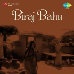 Ja Re Dulhaniya Ja - Biraj Bahu