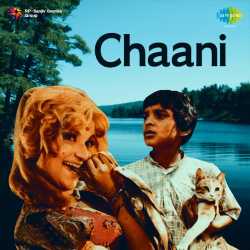 Main To Jaoongi Re Us Paar - Chaani