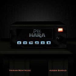 Dil Hara - Azeem Shirazi