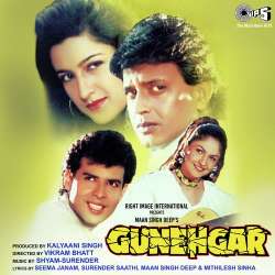 Dil Hua Beqarar - Gunehgar