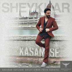 Kasam Se - Shekhar Ravjiani