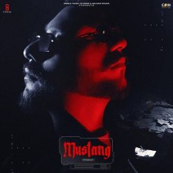 Mustang - Starkay