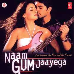 Tumse Milke - Naam Gum Jaayega