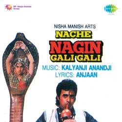Jaise Bhi Tu Manega - Nache Nagin Gali Gali