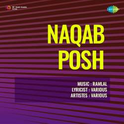 Ae Mere Majnu - Naqab Posh