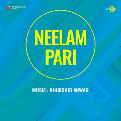 Aaj Main Jogan Ban Ke - Neelam Pari