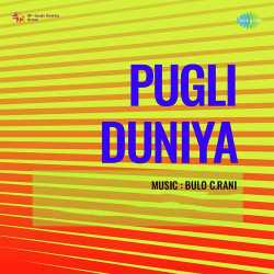 Dil Dard Se Bharpur Hain - Pagli Duniya