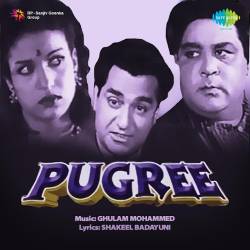 Ek Tir Chalanewale Ne Dil Loot Liya - Pugree