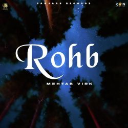 Rohb - Mehtab Virk