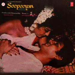 Aayenge Tere Dwar Mata - Seepeeyan