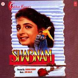 Tera Naam Likhkar Haathon Pe Hum Chooma Karte Hain - Shabnam