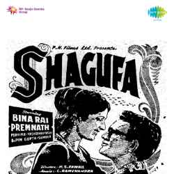Chheen Sake To Chheen Le - Shagufa