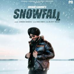 Snowfall - Jordan Sandhu