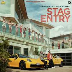 Stag Entry - Cheema Y