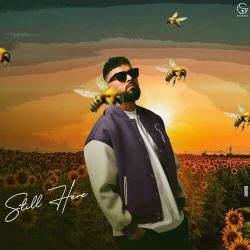 Meri Gaddi - Still Here
