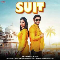 Suit - Raju Punjabi