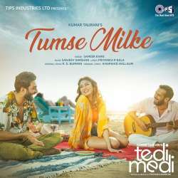 Tumse Milke - Tedi Medi