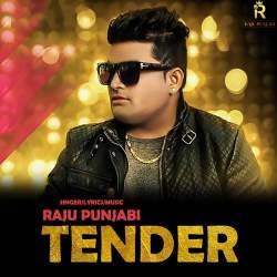Tender - Raju Punjabi