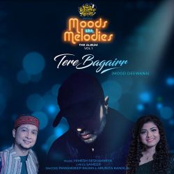 Tere Bagairr - Pawan Deep Rajan
