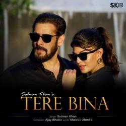 Tere Bina - Salman Khan