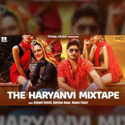 The Haryanvi Mixtape - Avinash Selothi