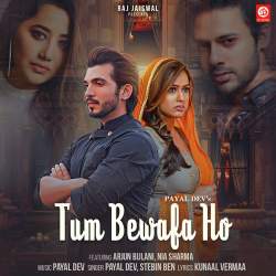 Tum Bewafa Ho - Payal Dev